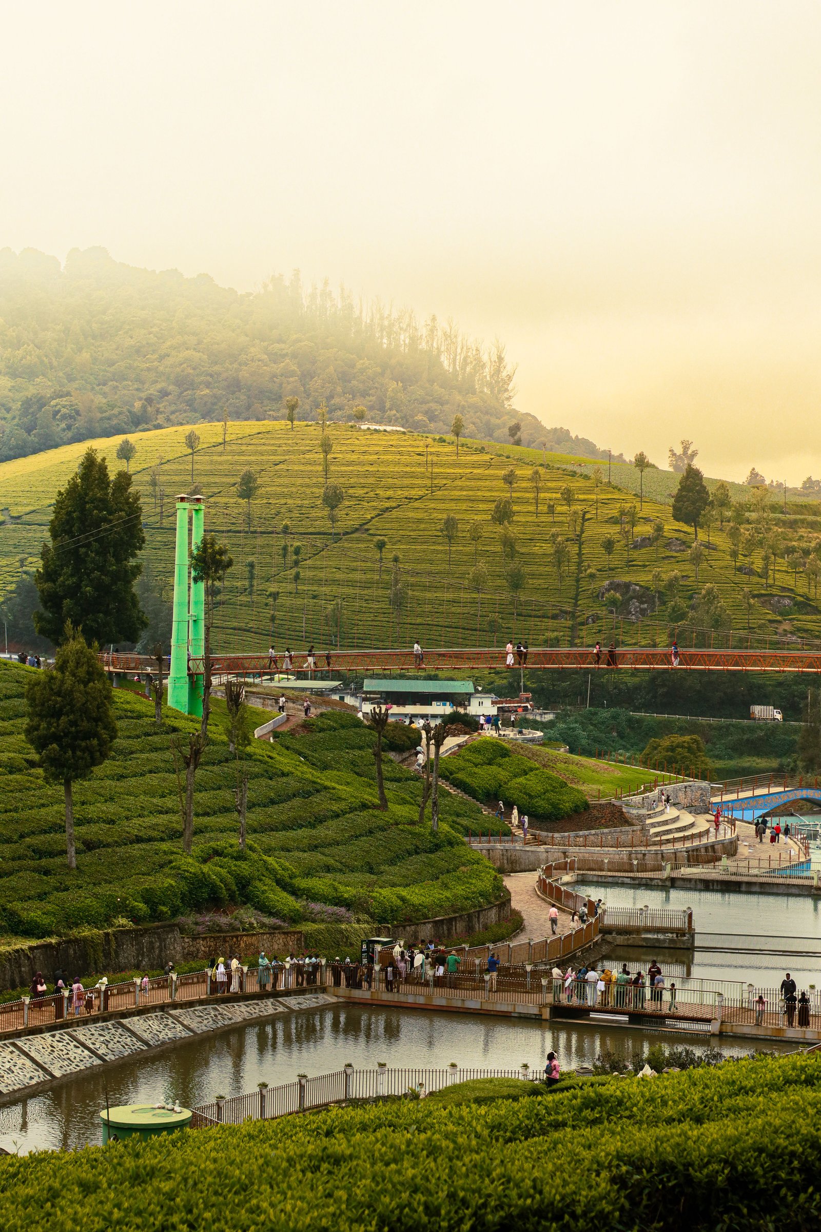 Wake Up Above the Clouds in Ooty!
