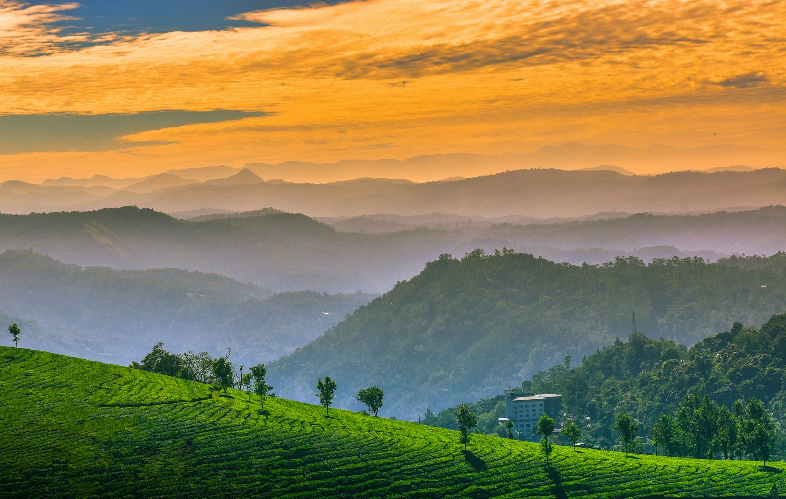 Explore Kerala | Munnar Hills & Alleppey Backwaters