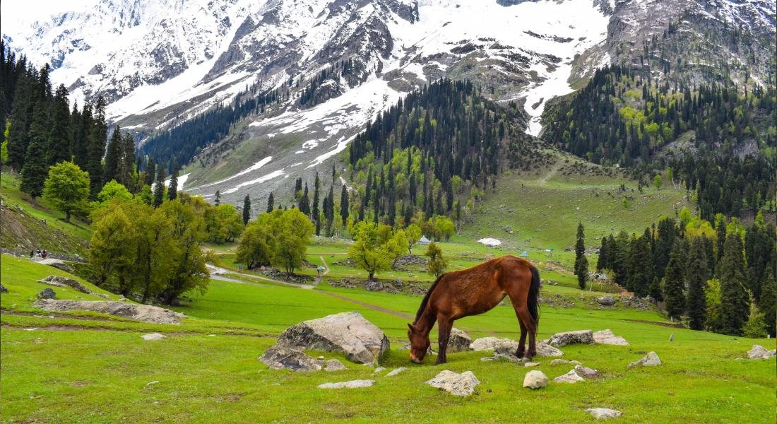 Kashmir Paradise Escape