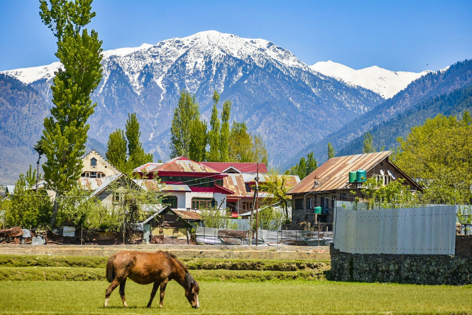 Valley of Dreams – Kashmir