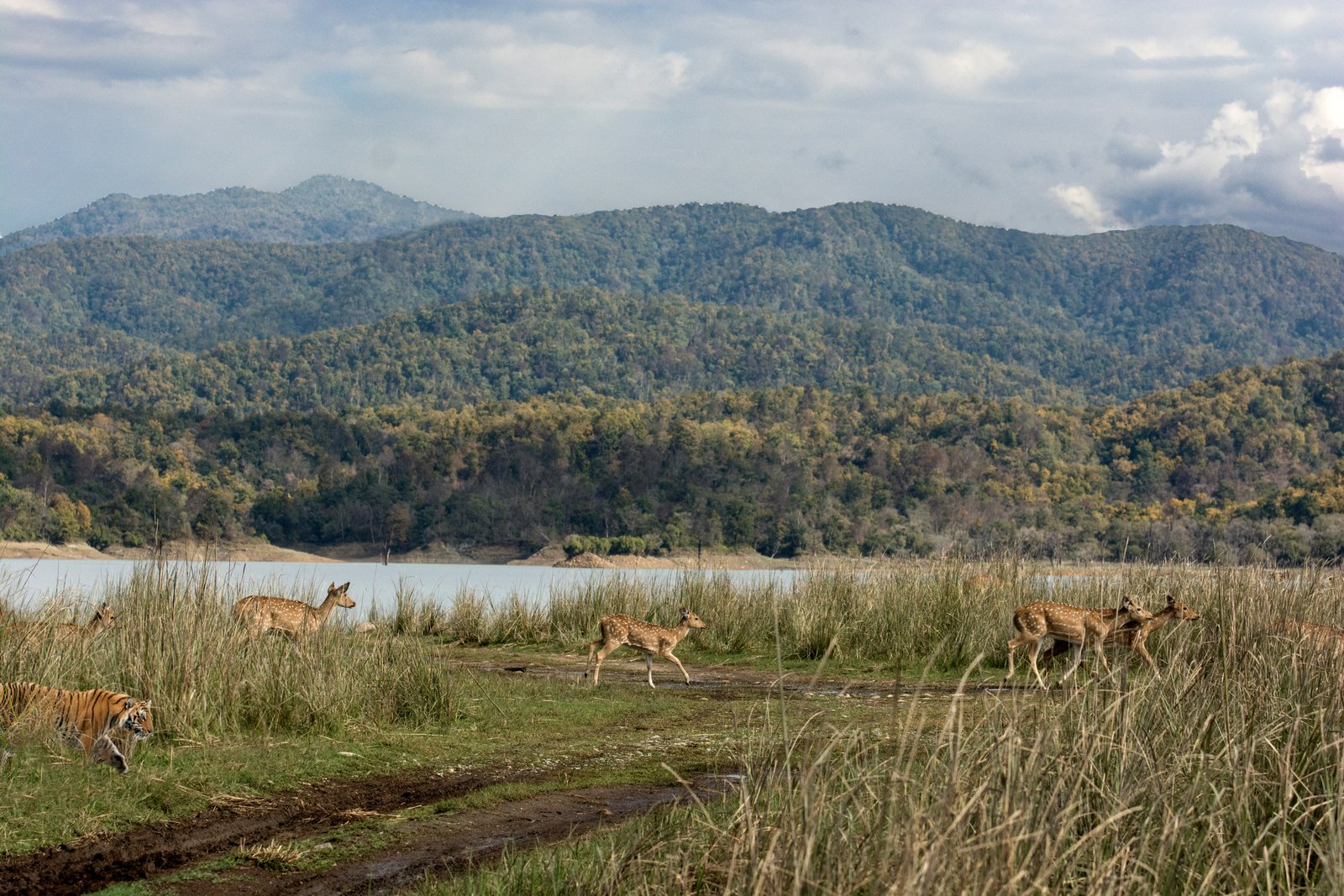 Wild & Scenic Uttarakhand
