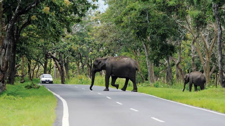Ooty & Mysore Trip from Bangalore