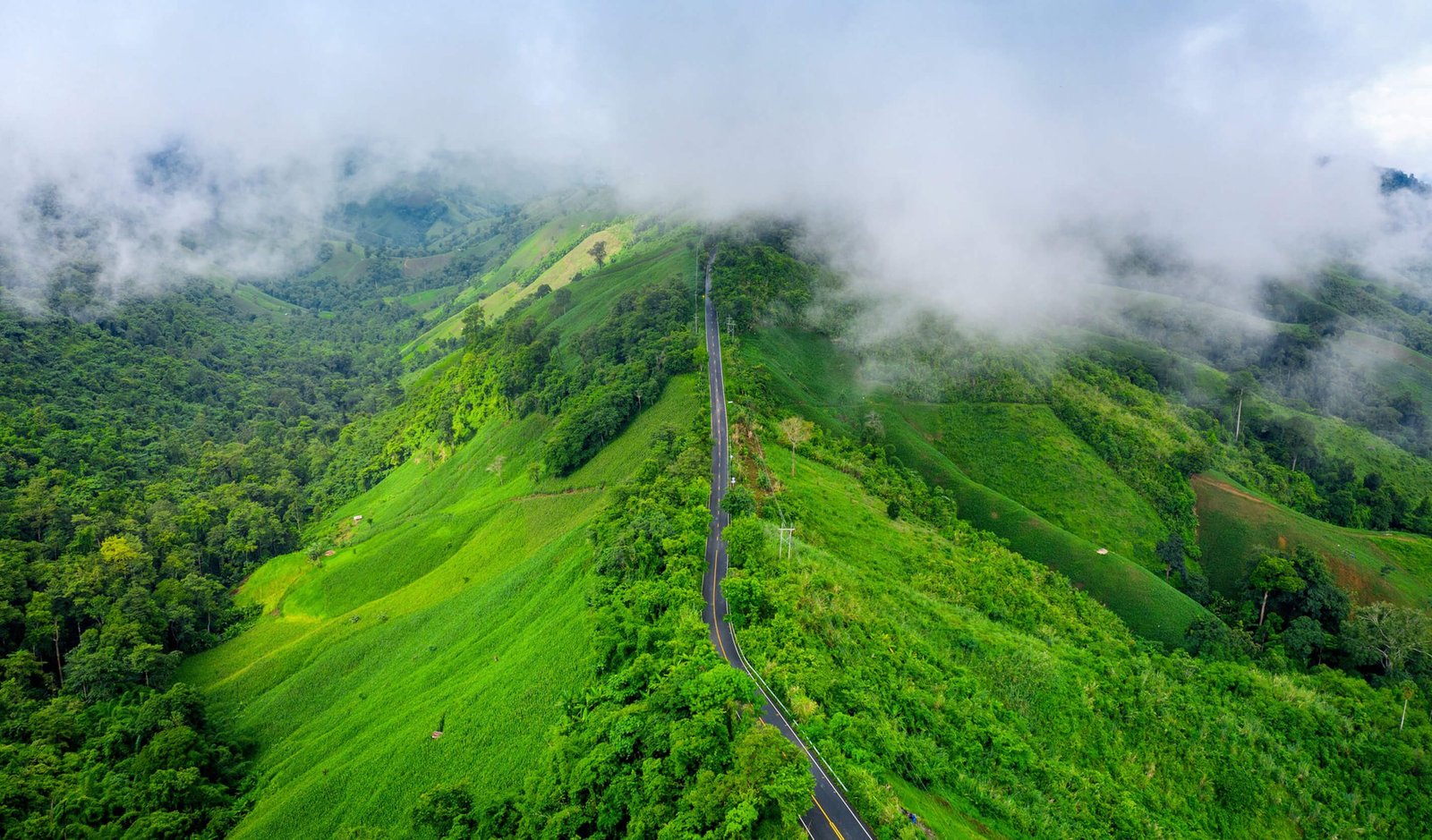Short Coorg Getaway