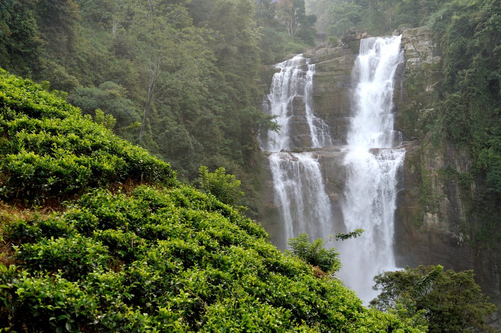 Coorg Nature Retreat with Mysore Heritage