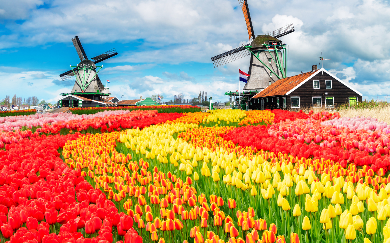 Belgium, Netherlands, Germany and Switzerland