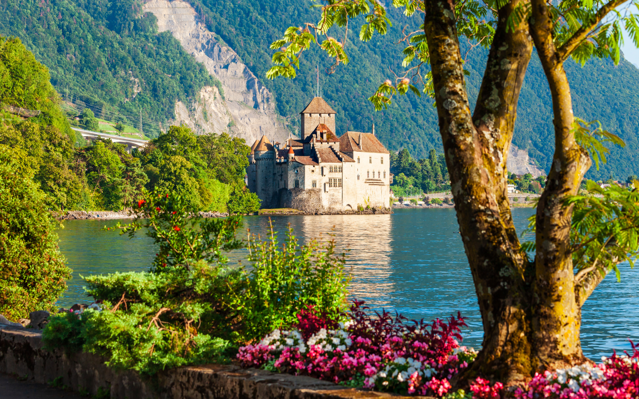 Tour Image