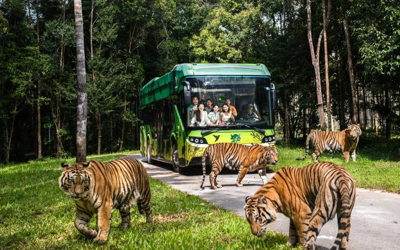 Tour Image