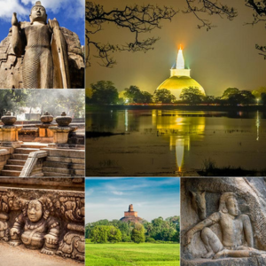 9 Standard - 06 nights and 07 days Sri Lanka Tour Package